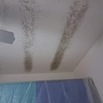 Come eliminare la muffa dal soffitto ( Parte 2)