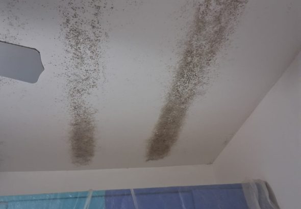 Come eliminare la muffa dal soffitto ( Parte 2)