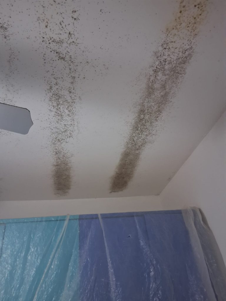 Come eliminare la muffa dal soffitto ( Parte 2)